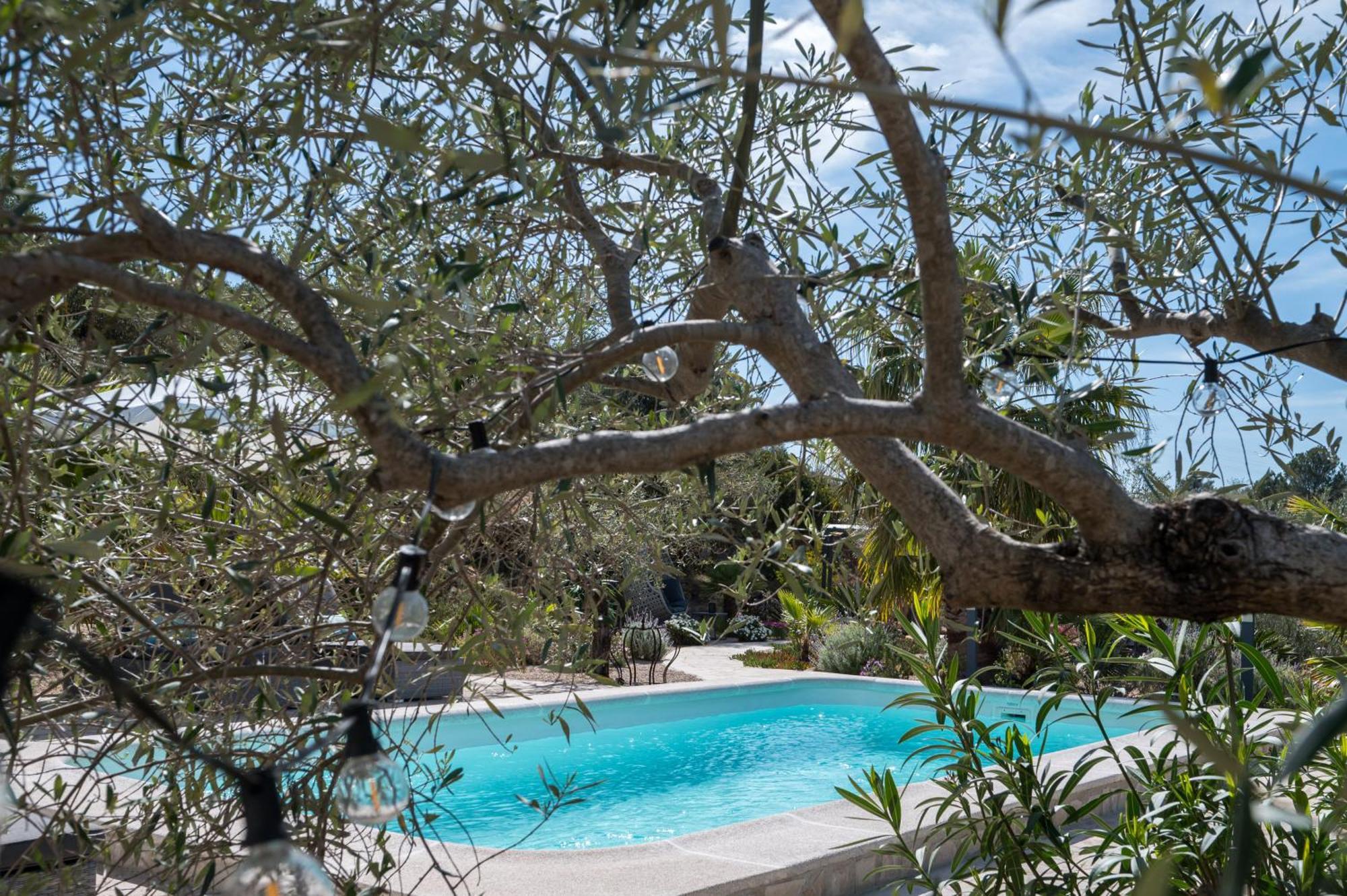 Casa De Olivos - Unique Apartments - Adult Only Traiguera 外观 照片